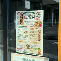 ブログ画像