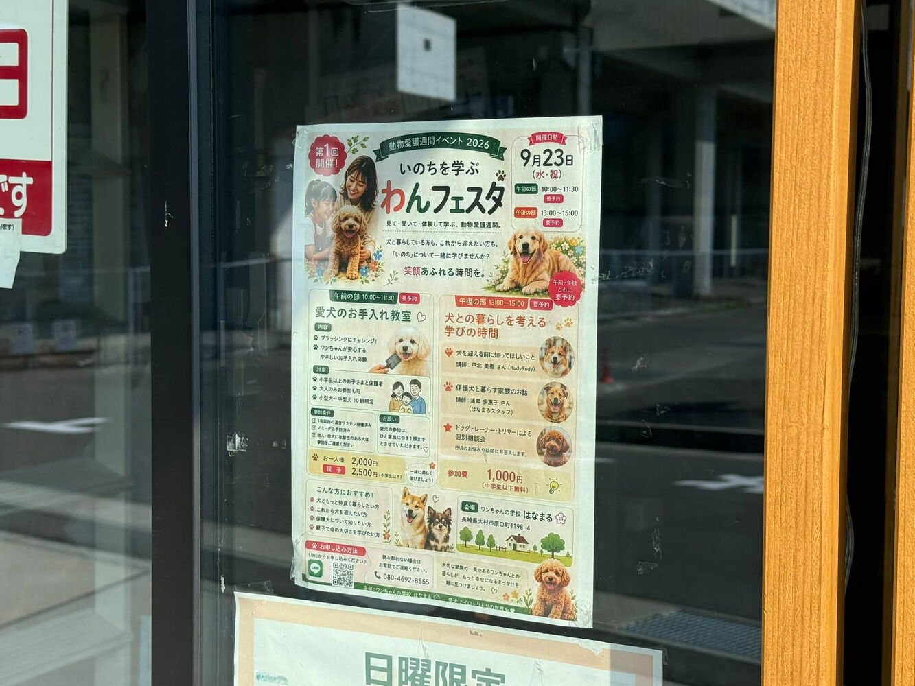 ブログ画像