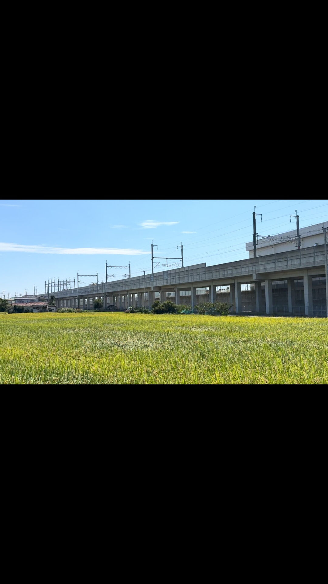 秋晴れ行楽日和な大村市のクリーニングエイトドライ3号店です